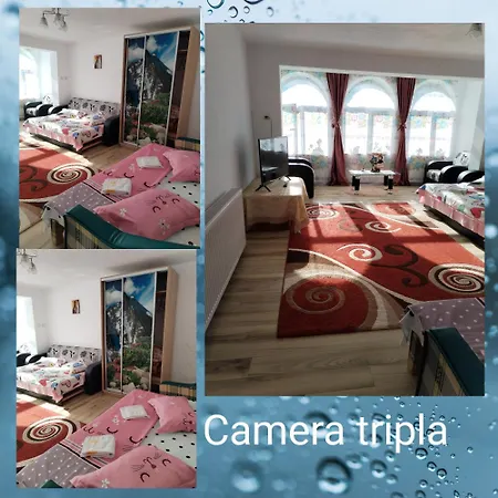 Casa Sara Guest house Dimbovicioara