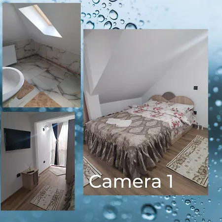 Guest house Casa Sara Dimbovicioara